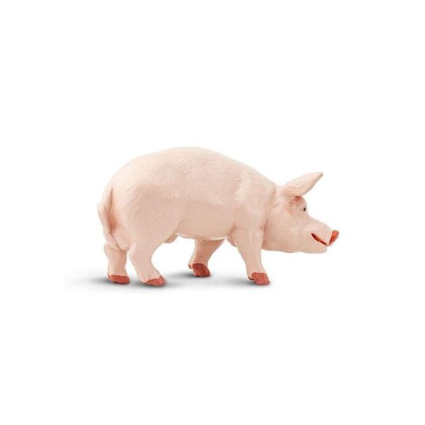 Safari Ltd. Kanec prasete domácího