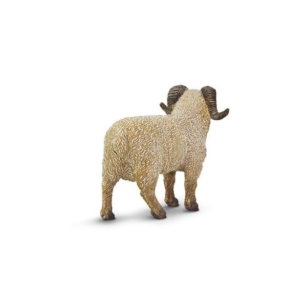 Safari Ltd. Beran