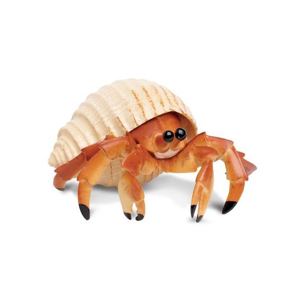 Safari Ltd. Krab poustevník
