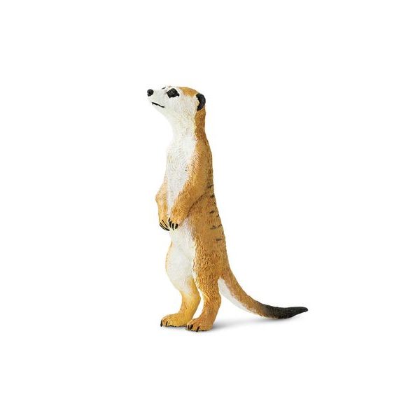 Safari Ltd. Surikata