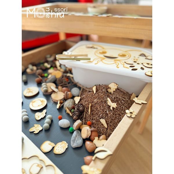 Mravenci- sensory set