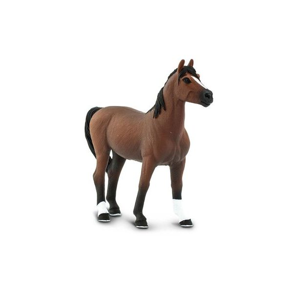 Safari Ltd. Kůň Morgan