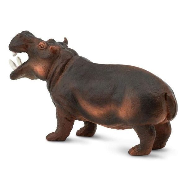Safari Ltd. Hroch malý