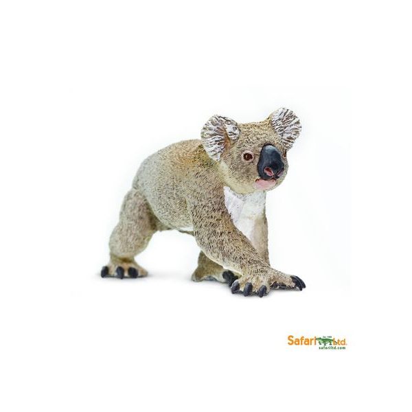 Safari Ltd. Koala