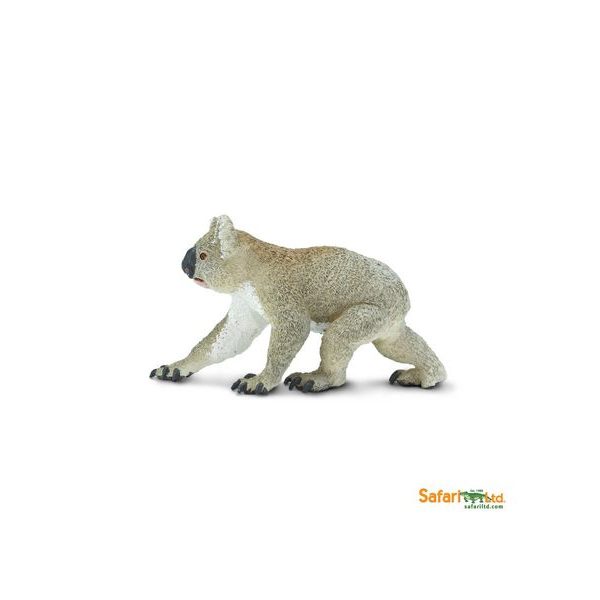 Safari Ltd. Koala