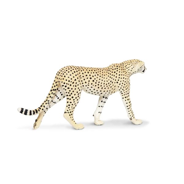 Safari Ltd. Gepard