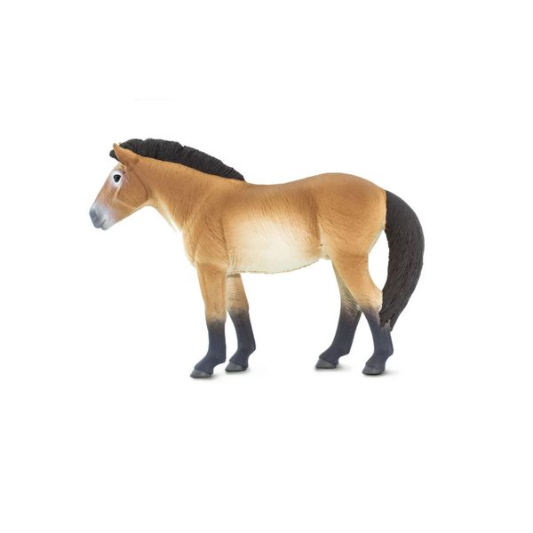 Safari Ltd. Kůň převalského