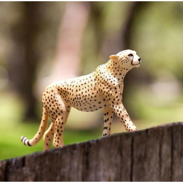 Safari Ltd. Gepard