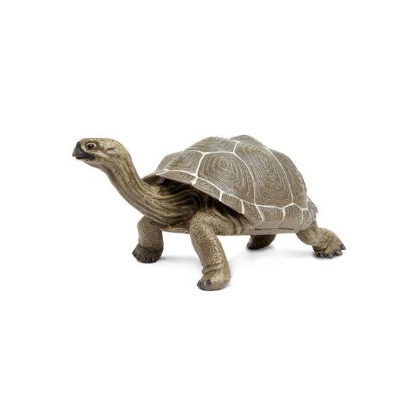 Safari Ltd. Želva galapážská