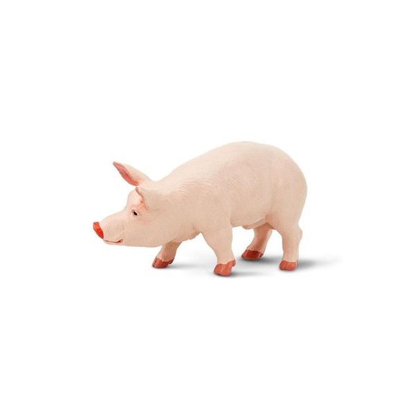 Safari Ltd. Kanec prasete domácího