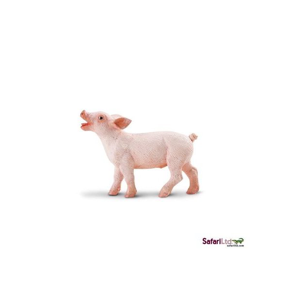 Safari Ltd. Sele