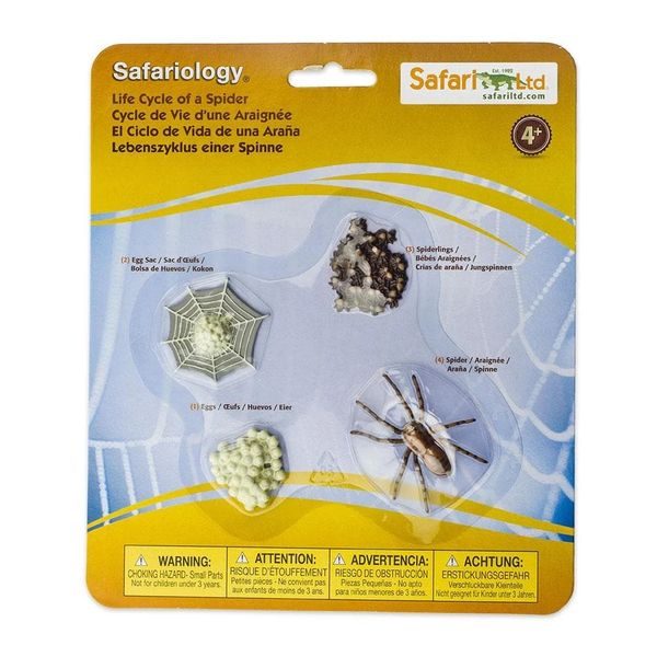 Safari Ltd - Životní cyklus - Pavouk