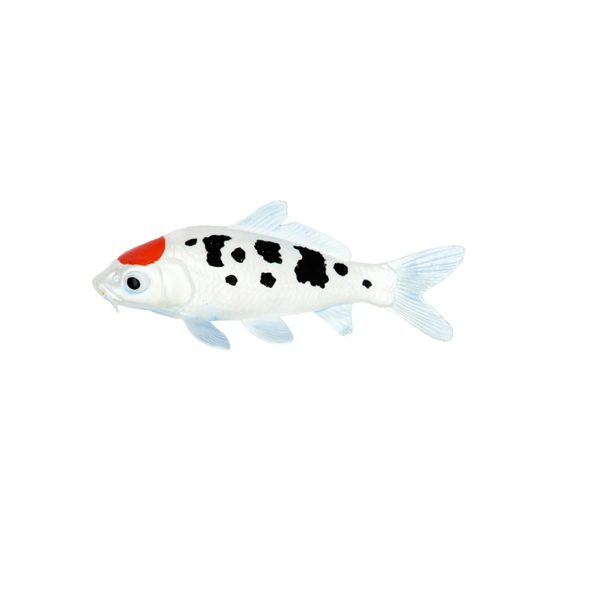 Safari Ltd. Koi kapr