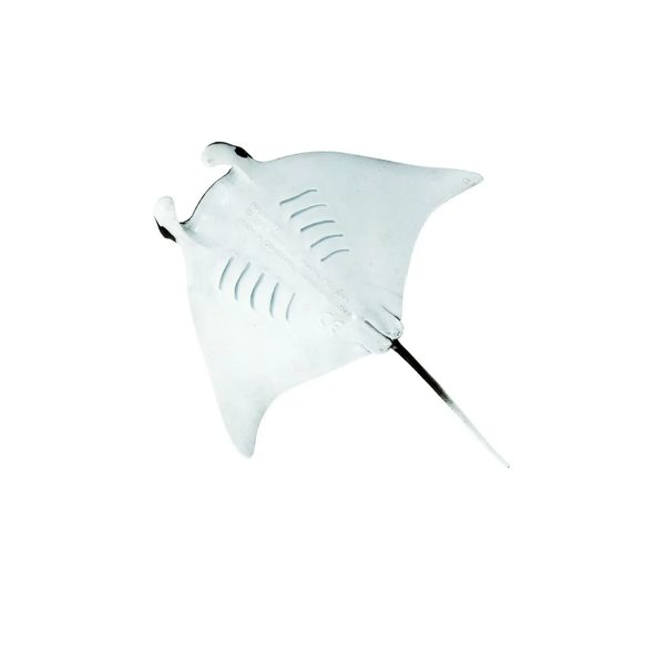 Safari Ltd. Manta