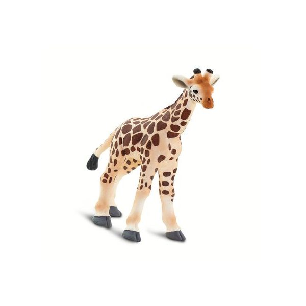 Safari Ltd. Mládě žirafy
