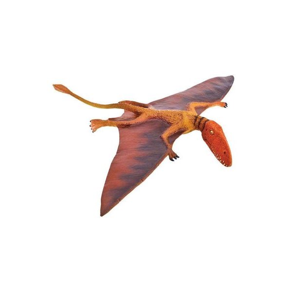 Safari Ltd. Dimorphodon