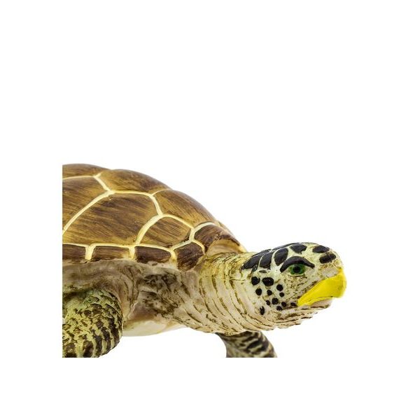 Safari Ltd. Želva Kareta obecná