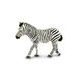 Safari Ltd. Zebra