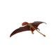 Safari Ltd. Dimorphodon