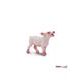 Safari Ltd. Sele