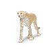 Safari Ltd. Gepard