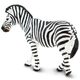 Safari Ltd. Zebra stepní