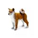 Safari Ltd. Shiba Inu