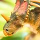 Safari Ltd. Styracosaurus