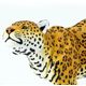 Safari Ltd. Jaguar