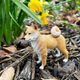 Safari Ltd. Shiba Inu