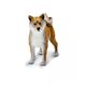 Safari Ltd. Shiba Inu