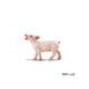 Safari Ltd. Sele