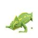 Safari Ltd. Mládě chameleóna jemenského