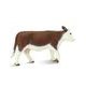 Safari Ltd. Kráva Hereford