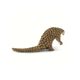 Safari Ltd. Luskoun
