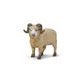Safari Ltd. Beran