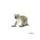Safari Ltd. Koala