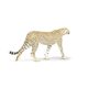 Safari Ltd. Gepard