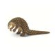 Safari Ltd. Luskoun