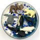 Mamolína Z polárních kruhů