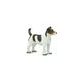 Safari Ltd. Jack Russel teriér