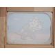 Deska z plexi Triceratops