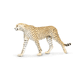 Safari Ltd. Gepard