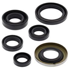 Engine Oil Seal Kit WINDEROSA 822278