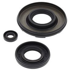 Engine Oil Seal Kit WINDEROSA 55161