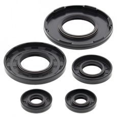 Engine Oil Seal Kit WINDEROSA 55233