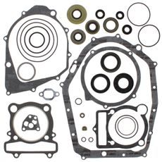 Complete Gasket Kit with Oil Seals WINDEROSA 811898