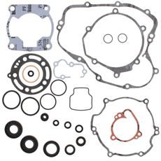 Complete Gasket Kit with Oil Seals WINDEROSA 811411