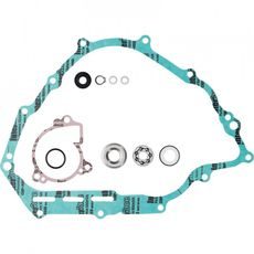 Water Pump Rebuild Kit WINDEROSA 821974