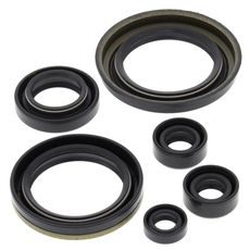 Engine Oil Seal Kit WINDEROSA 822280